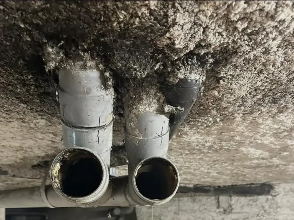 Curage des colonnes d'évacuation d'un immeuble à Pantin (93) par 3D Assainissement